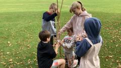 Sycamore class working collaboratively to build a den. A very exciting day! 