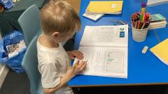 Bird Watch investigation