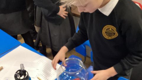 A child observing their sweet in water for an experiment