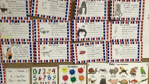Our French display of our animals using French vocabulary to describe our pets