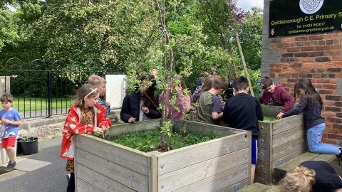 The whole school helping to garden