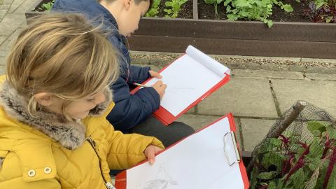 Two pupils sat on a bench at Harlow Carr drawing scientific sketches of plants