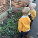 Children in garden 