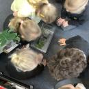 Children looking at snails