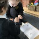 Children sorting seeds