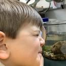 Boy looking at tadpoles with magnifying glass