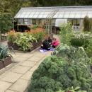 Class 3 pupils sat on the ground next to some plant beds in order to closely sketch the plants