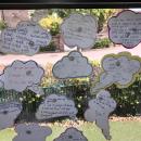 A display of children's writing in small thought bubbles.  