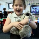 Class 2's new pet Koala